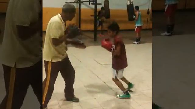 BOXEO ISABELICA смотреть онлайн