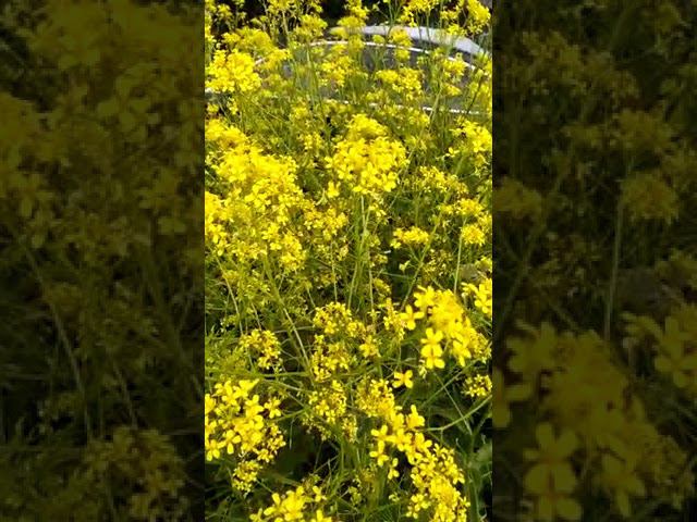 19 июня 2022 г. смотреть онлайн