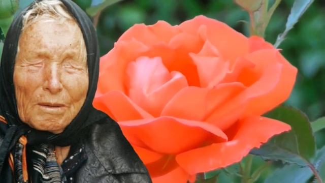 ?Ванга - Лучшие Советы Великой Ванги - мудрые слова, цитаты, афоризмы. Советы Ванги На Каждый День