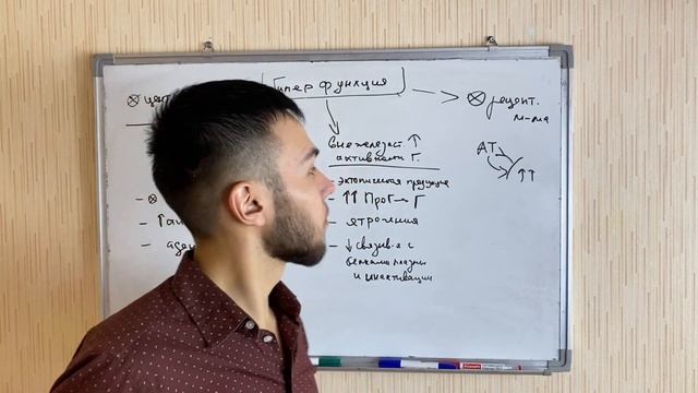 Патофизиология эндокринной системы смотреть онлайн