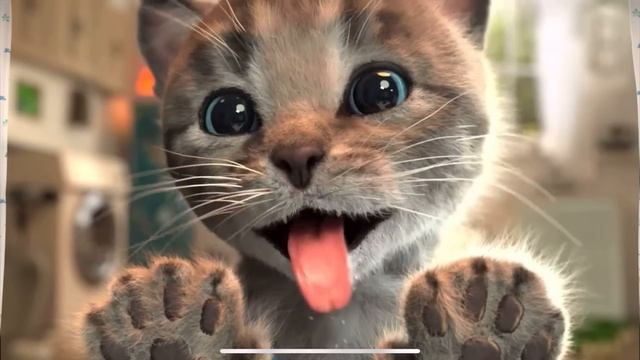 Little Kitten Preschool Adventure Educational Games -Play Fun Cute Kitten Pet Care Learning Gamepla