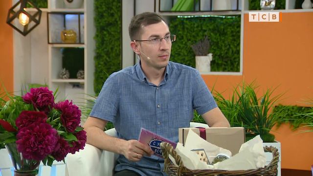 Мифы и вся правда о пчёлах смотреть онлайн