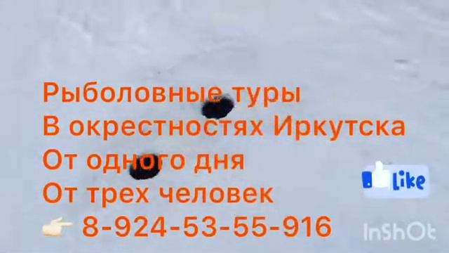 Рыболовные туры смотреть онлайн