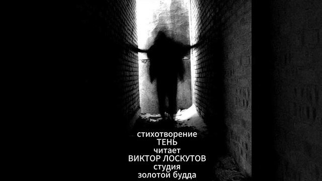 ТЕНЬ смотреть онлайн