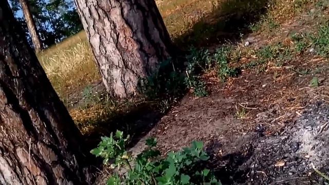 КЛАД МОНЕТ!!! И РЕДКИЕ НАХОДКИ ИЗ БОЛОТА!!! ПОИСКОВЫЙ МАГНИТ!! В ПОИСКАХ КЛАДА И ЗОЛОТА ОТ ВИКЛИНГА смотреть онлайн