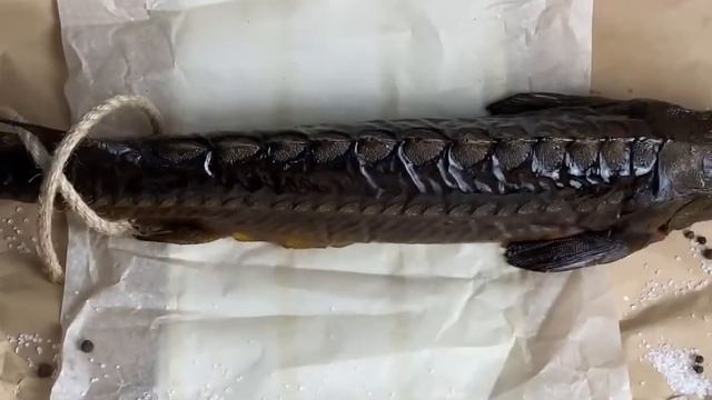 Секреты Творческой Вдохновимости