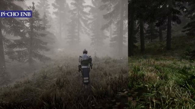 Top 8 Skyrim Special Edition ENB Comparison 2022 Roundup! Living Skyrim Modlist ENB Choices