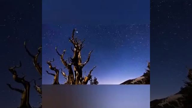 ??Срочно!Молитва покаяния!РАСПРОСТРАНЯЙТЕ!Текст молитв под видео?? смотреть онлайн