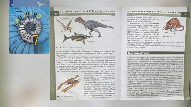 Биология 7 класс Параграф 27 Происхождение животных. Основные этапы эволюции животного мира. Аудио смотреть онлайн