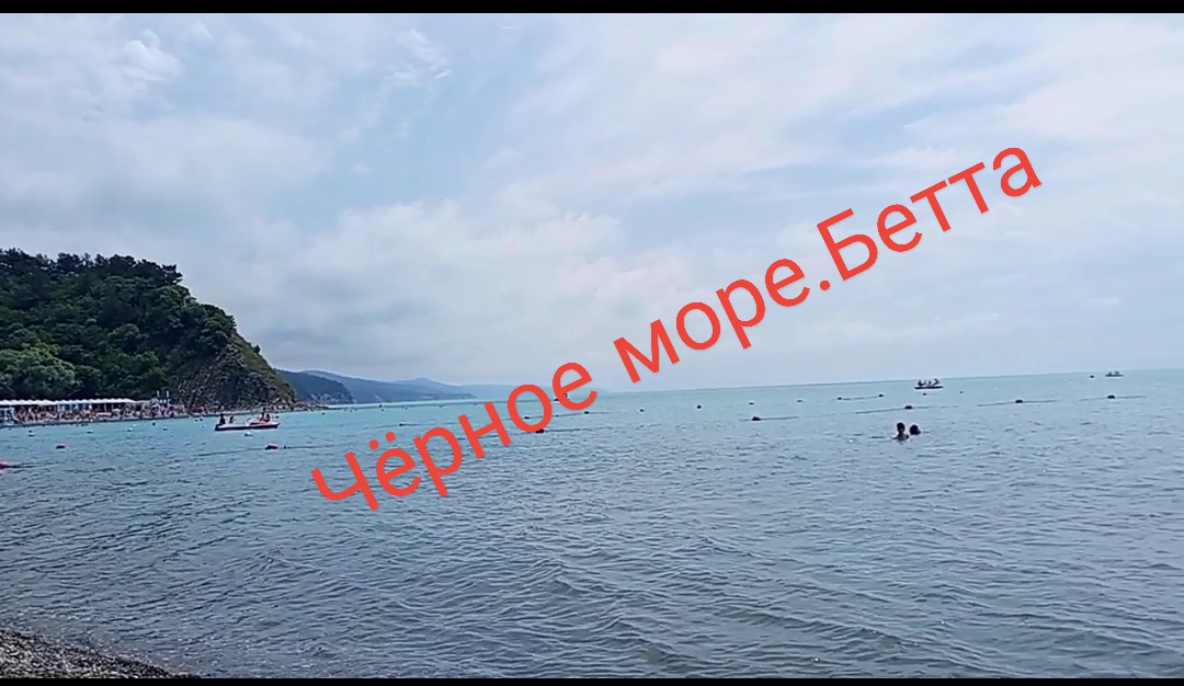 Отдых в Бетте. Готовимся к встречи с енотами. смотреть онлайн