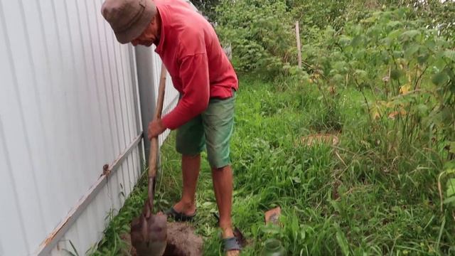 Как ловить кротов НА ЖИВЦА смотреть онлайн