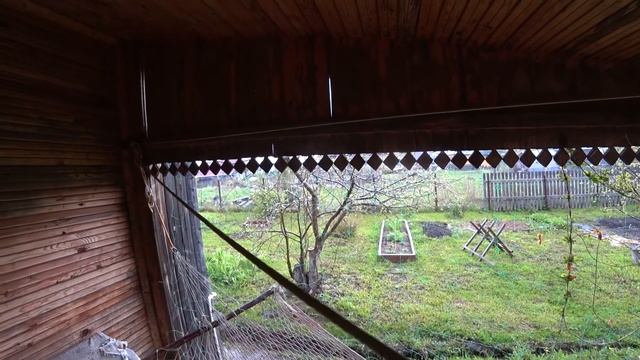 Пожарил стейки на печи Берель 400 К. Посадили в теплицу томаты. Начали за саживать огород. смотреть онлайн