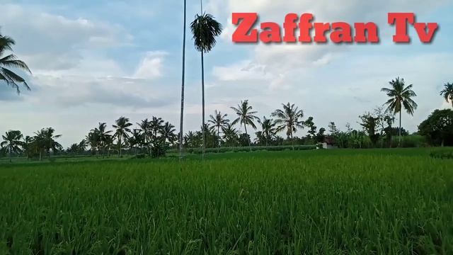 MANTRA PELET LEWAT FOTO DAN BACA SEBELUM TIDUR !! Si Dia Membalas Cintamu,ilmu Pelet Sebut Nama