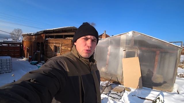 Сколько я зарабатываю в тайге на сборе СЕРЫ!