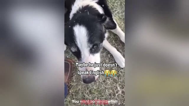 Funny Videos #10 Instant Regret _ Fails Of The Week _ Fail Compilation _ Fails _ RandomFails