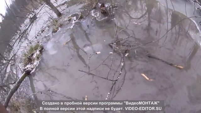 Видео 2015г. Проверка капканов. смотреть онлайн