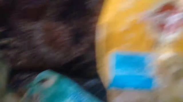 Мне подарили собаку мопса Боня!!!! смотреть онлайн