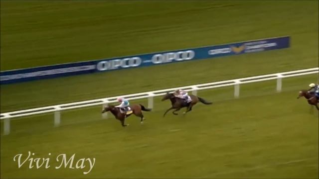 FRANKEL//Лошадь в $200 млн // EQUESTRIAN SPORT