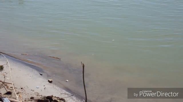 Кто ходил на рыбалку? Я ХОДИЛ НА РЫБАЛКУ. смотреть онлайн