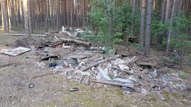 Загаженный лес! Не бросайте мусор в лес.Foggy forest! Don't throw rubbish into the forest. смотреть онлайн