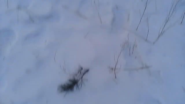 Скрип снега под ногами. смотреть онлайн