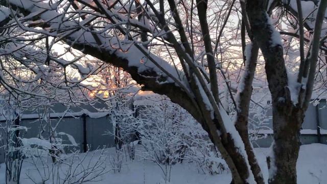 Архангельск, -30 градусов, ASMR )) смотреть онлайн