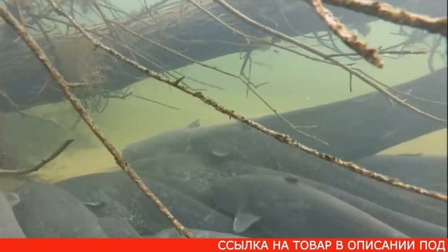Стимулятор улова FISH HUNT купить, цена, отзывы. Приманка FISH HUNT (Фиш Хант) для рыбалки обзор смотреть онлайн