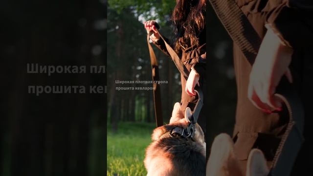 Профессиональный поводок серии "А" смотреть онлайн