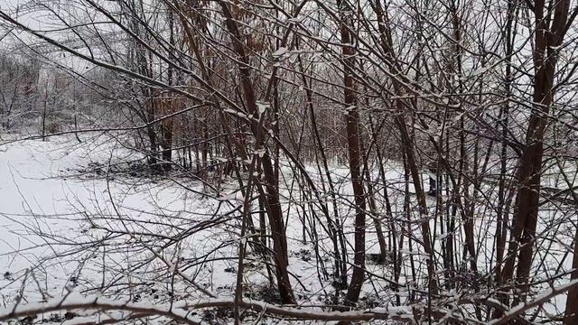 В Краснодаре опять пошёл снег. Краснодар сегодня смотреть онлайн