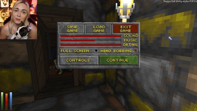Daggerfall Unity Gameplay [2: DOG + VIDEO GAME = BORK смотреть онлайн