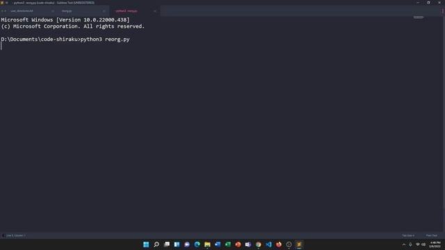 Python Reorganiser test on Windows 10/11 смотреть онлайн