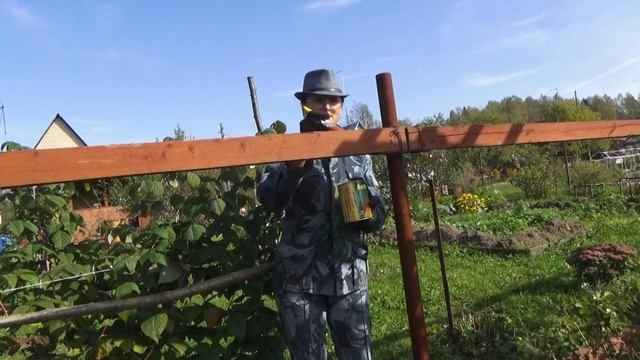 6 соток 24 сентября. Демонтировала забор, гладиолусы. Как природа доски выкрученные выпрямила. смотреть онлайн