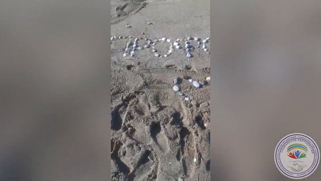 Первый день в Турции. смотреть онлайн