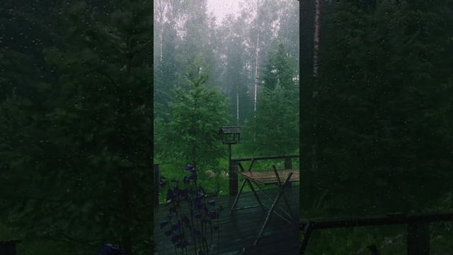 Слушайте расслабляющие звуки огня,природы,тишины.Звуки для сна и отдыха! смотреть онлайн