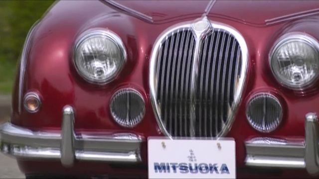 MITSUOKA Viewt - My Love