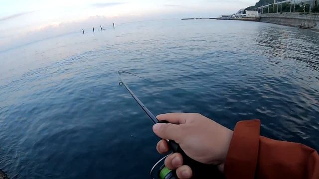 Ямага В ДУГУ! Плохой клев на море, как спасти ситуацию? смотреть онлайн