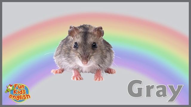 Gray Song | Learn Colors in English | Colors Song | ESL for Kids | Fun Kids English смотреть онлайн