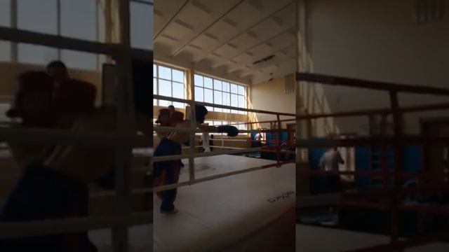 Соревнования по кикбоксингу смотреть онлайн