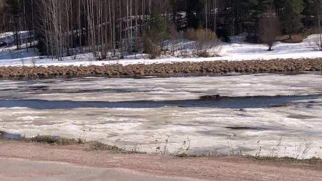 Весна в Импилахти ☀️ смотреть онлайн