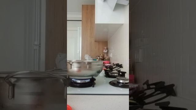 Cara Membuat Kompos / Jus Ala mertua di Turki смотреть онлайн