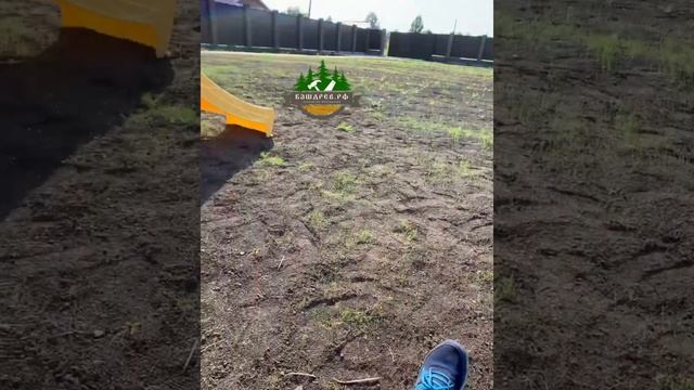 Летний комплекс + зимняя горка смотреть онлайн