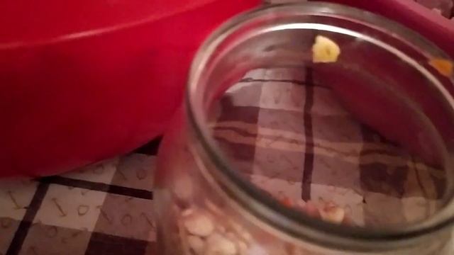 квасоля з м'ясом і овочами в автоклаві смотреть онлайн