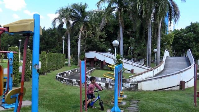 14. Парк Чатучак в Бангкоке. Белочки, алое-гигант, флора и фауна. Chatuchak Park in Bangkok. 4K смотреть онлайн