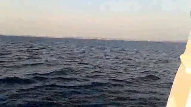 Наш отпуск в Краснодарском крае. смотреть онлайн