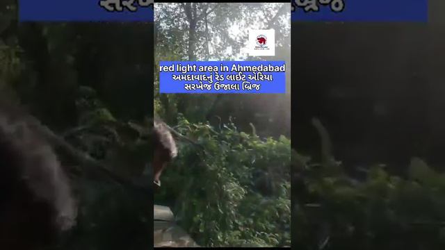 Red Light Area Ahmedabad#crimegujaratnews#Ahmedabadpolice#short#red Lightarea#viral Video#gujarat