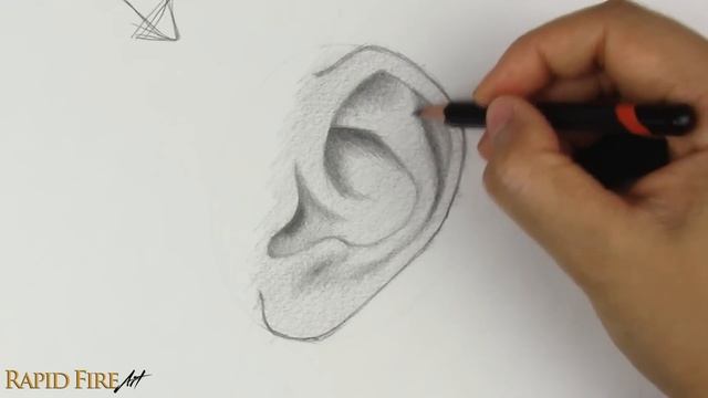 How to Draw Ears | Side View смотреть онлайн