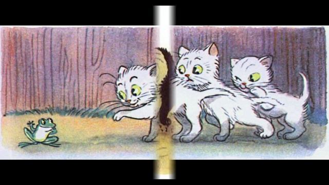 Три котенка!