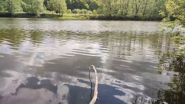 ВЕЛО ПОЇЗДКА В СУТИСКИ / РОЗВІДКА РИБАЦЬКИХ МІСЦІ / ПІВДЕННИЙ БУГ / НЕ ДАЛЕКО ВІД ВІННИЦІ 2022 смотреть онлайн