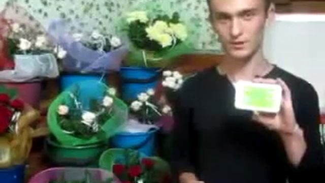 Экофуд как продлить жизнь цветам Решение есть! смотреть онлайн