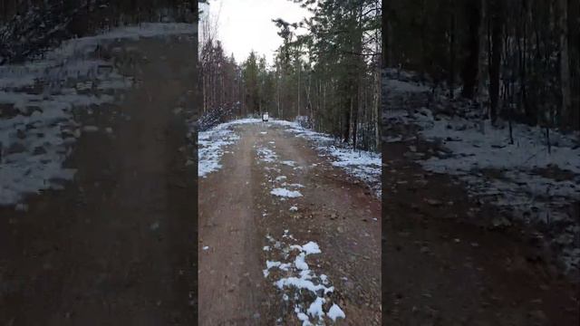 Отстрел дробовых патронов на кучность. Ружьё иж27.